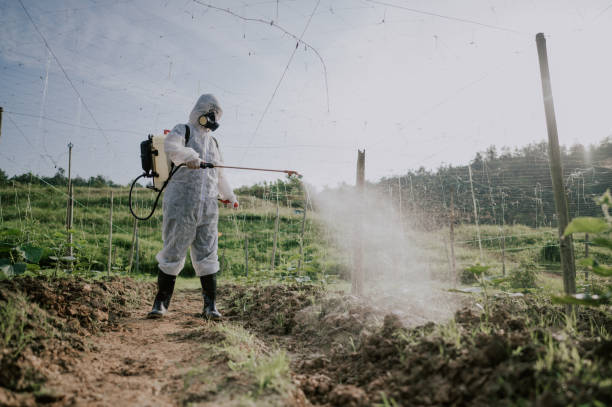 Best Ant Control Services  in Boyertown, PA