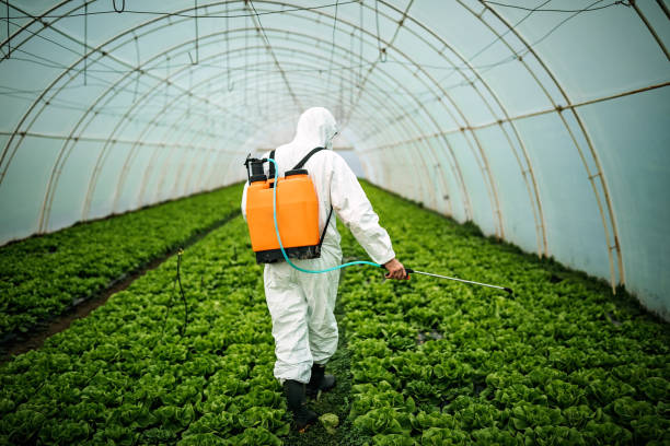 Best Pest Inspection Near Me  in Boyertown, PA