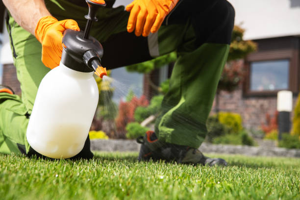 Best Commercial Pest Control Services  in Boyertown, PA