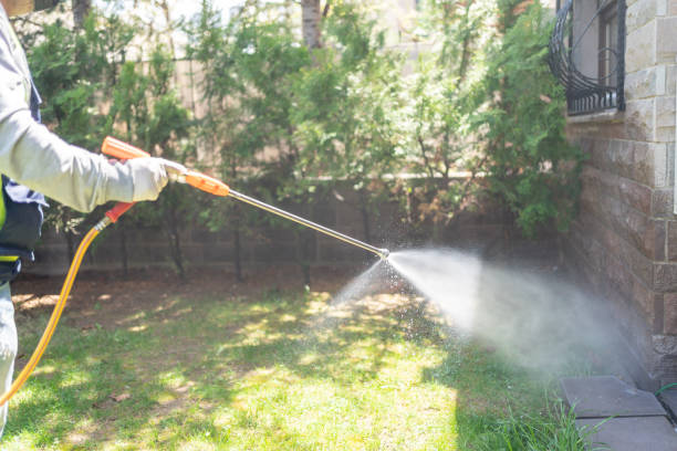 Bird Control in Boyertown, PA