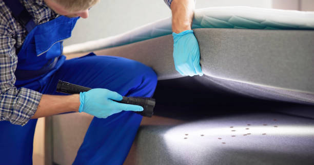 Reliable Boyertown, PA Pest Control Solutions