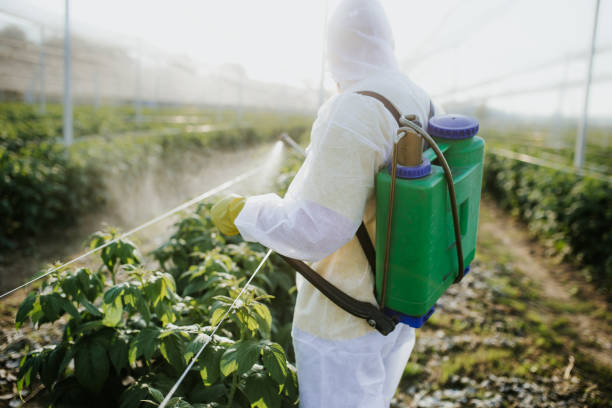 Best Mosquito Control Services  in Boyertown, PA